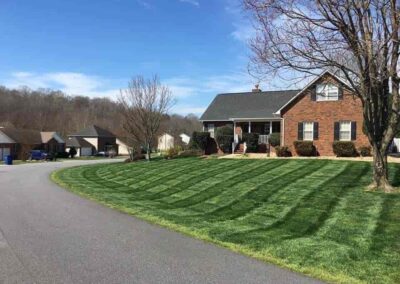 Lawn service 15